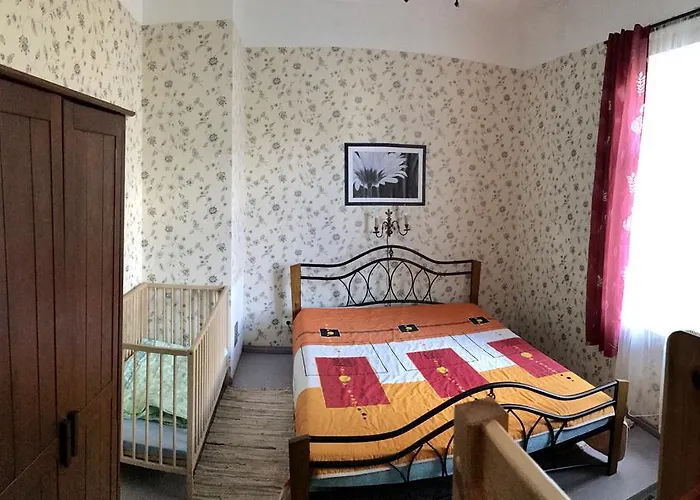 Chelsea Roosi 11 페르누