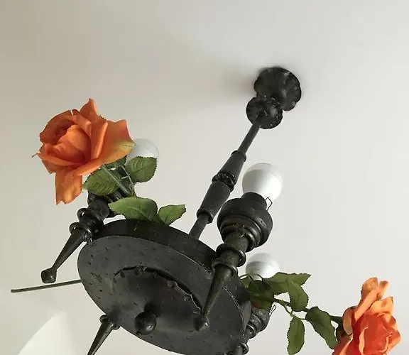 Chelsea Roosi 11 아파트 *