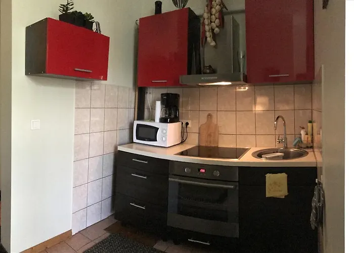 Chelsea Roosi 11 * 페르누